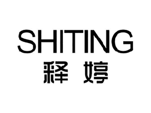 释婷