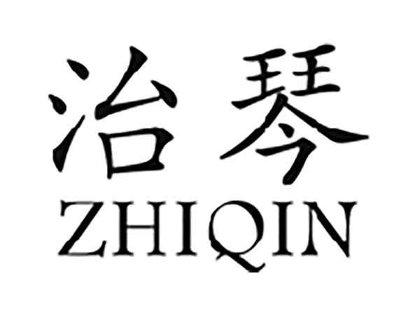 治琴