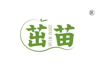 茁苗