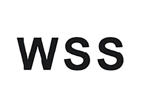 WSS