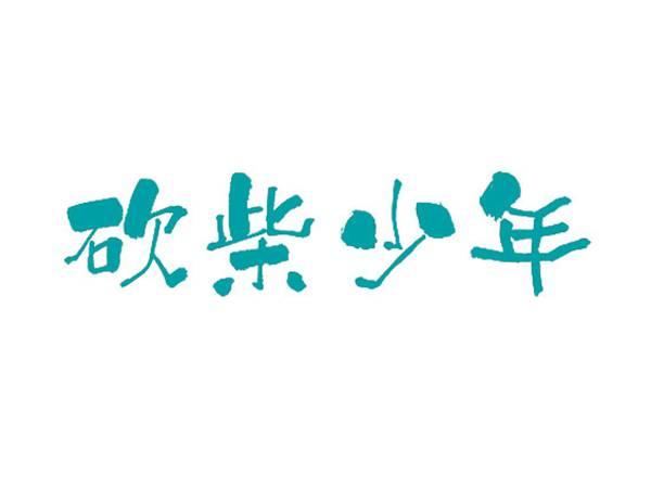 砍柴少年
