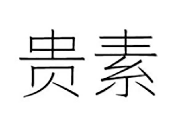 优诗蒂;YOUSHIDI
