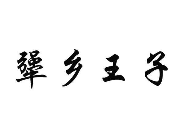 犟乡王子