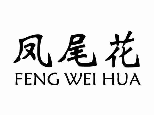 凤尾花;FENGWEIHUA