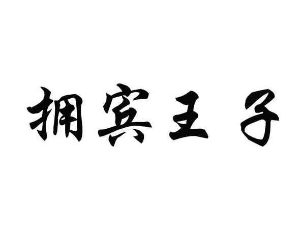拥宾王子
