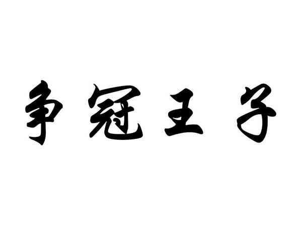 争冠王子