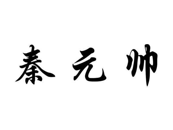 秦元帅