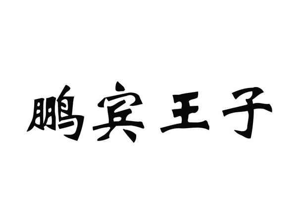 鹏宾王子