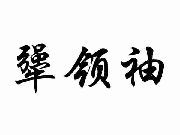 犟领袖