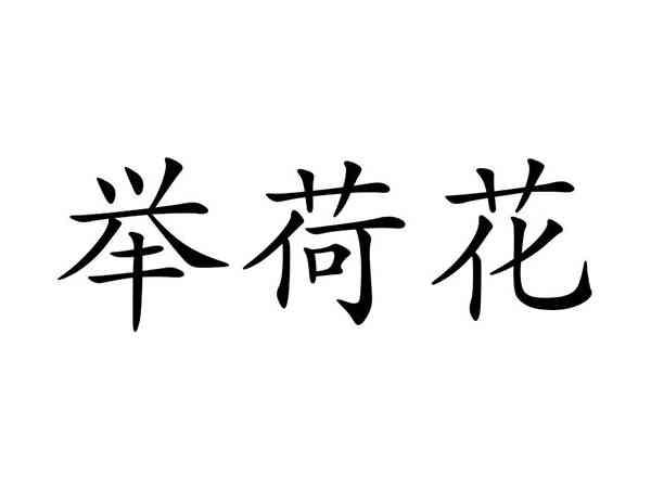 举荷花