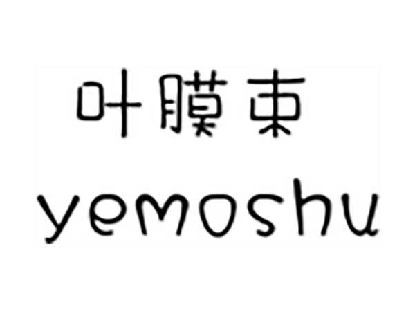 叶膜束;YEMOSHU