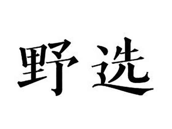 野选