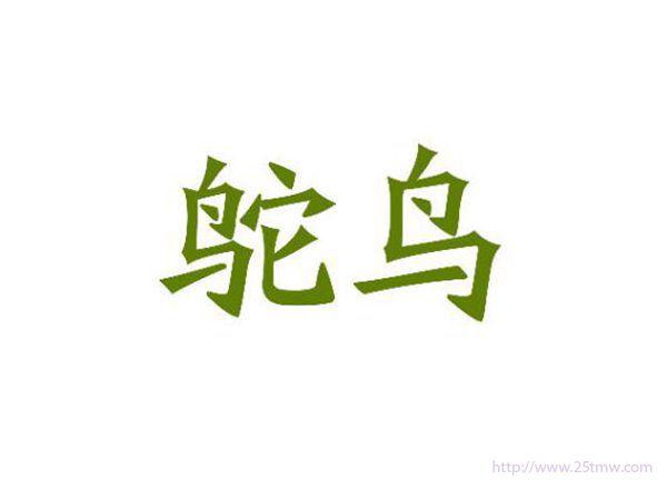 鸵鸟