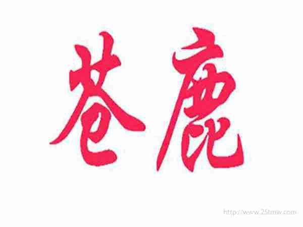 苍鹿