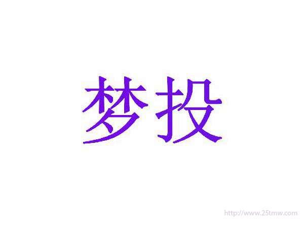 梦投