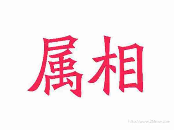 属相