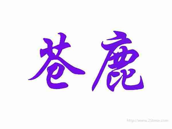 苍鹿