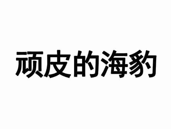 顽皮的海豹