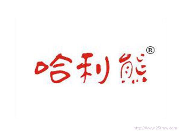 哈利熊