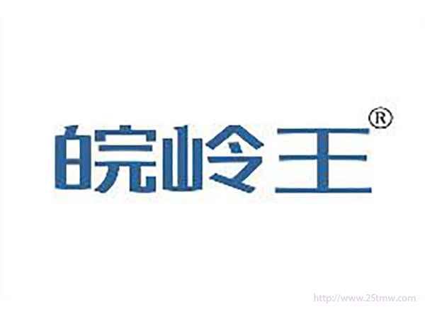 皖岭王