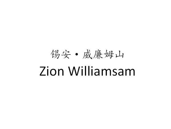 锡安威廉姆山ZIONWILLIAMSAM