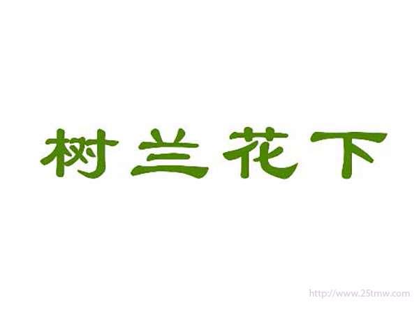 树兰花下