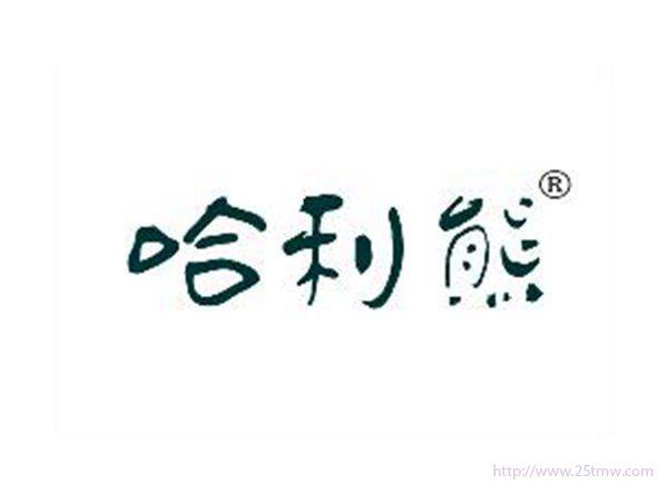 哈利熊