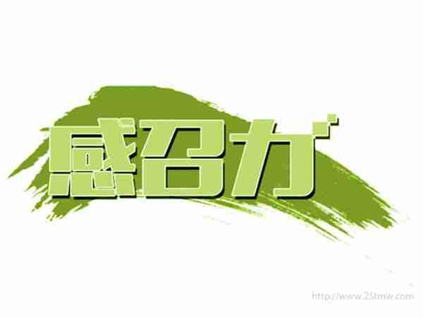 感召力