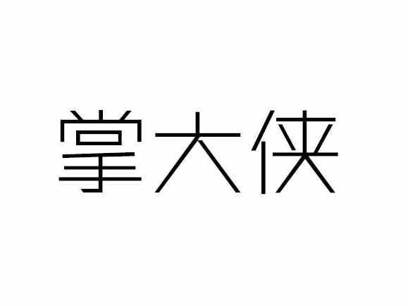 掌大侠