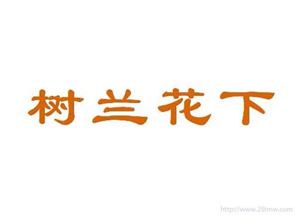 树兰花下