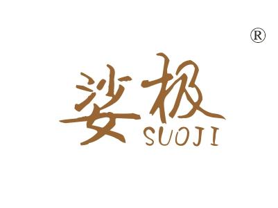 娑极