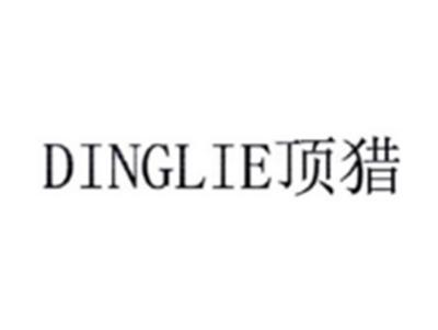 顶猎DINGLIE
