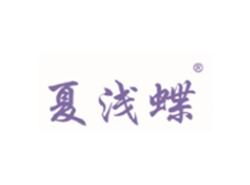 夏浅蝶
