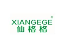 仙格格XIANGEGE