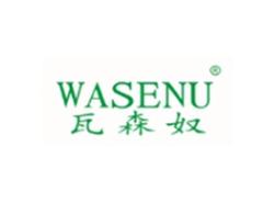 瓦森奴