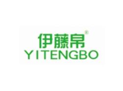 伊藤帛YITENGBO