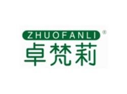卓梵莉ZHUOFANLI