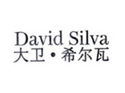 大卫希尔瓦DavidSilva