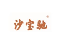 沙宝驰
