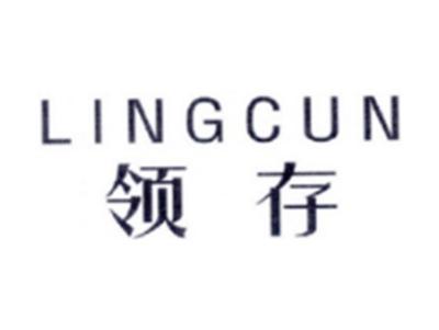 领存LINGCUN