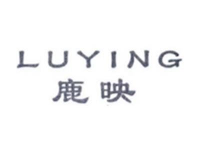 鹿映LUYING
