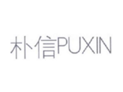 朴信PUXIN