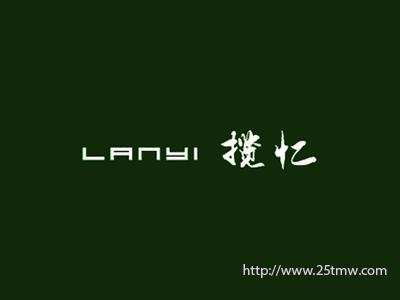 揽忆