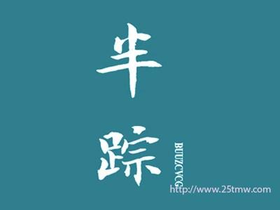 半踪