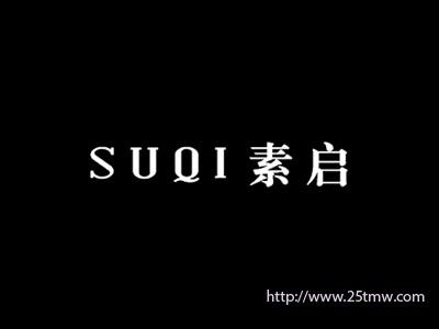 素启