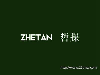 哲探