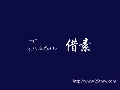 借素