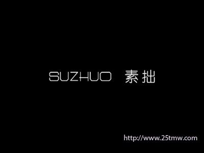 素拙