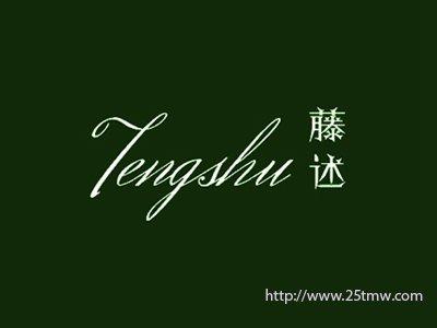 藤述