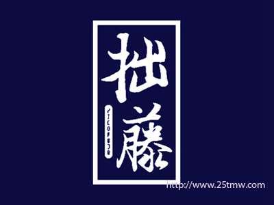 拙藤